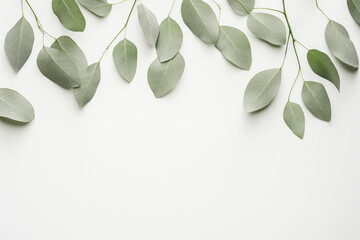 Green eucalyptus leaves on white background. Place for text, copy space. Generative AI.