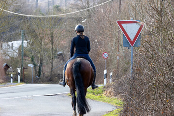 Rider on the road in the countryside in spring