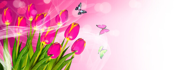 Blooming tulips with butterflies on an abstract colorful spring fresh background.