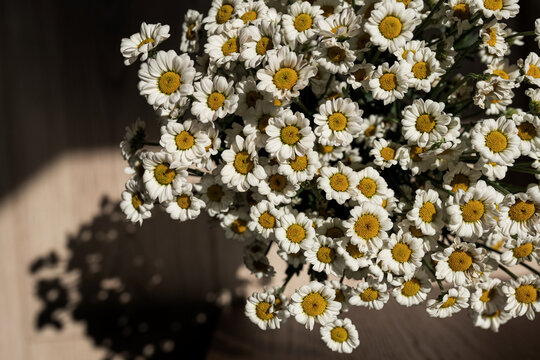 Chamomile daisy flowers. Floral composition.