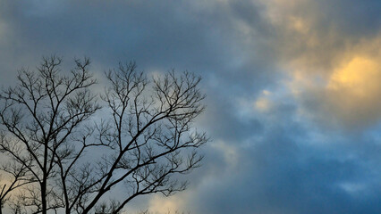 朝焼けと壮大な雲。雲から漏れる暖かい陽射しの絶景風景 - obrazy, fototapety, plakaty