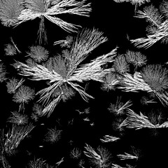 Ice patterns on a black background - 733001380