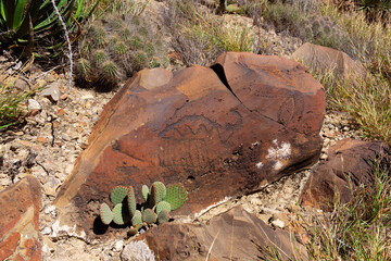 Fototapeta na wymiar Archaeological Zone: Petroglyphs at Boca de Potrerillos, Nuevo León