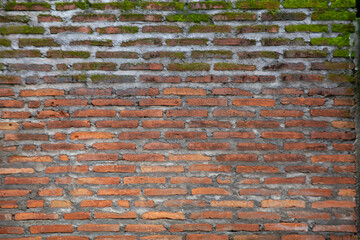 Old brick wall with green moss. Abstract background texture. Wide photo.
