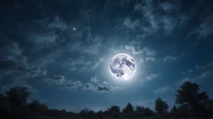 Photo sur Plexiglas Pleine Lune arbre 月夜の空　Generative AI