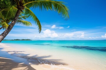Fototapeta na wymiar Beautiful palm and tropical beach