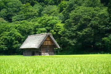 Obraz na płótnie Canvas 白川郷の田んぼにある小屋