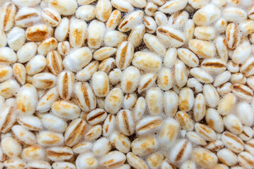 fermented barley grains , food texture