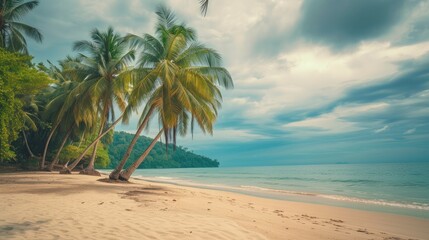Fototapeta premium Beautiful beach with palm trees and moody sky. Summer vacation travel holiday background concept.