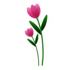  floral,spring,flowers,decorative,summer,illustration,bouquet,watercolor,drawing,element,abstract,beautiful,pink,bloom,flora,cute,foliage,watercolour,draw,pink tulips