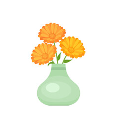 Marigolds in vase. Vector cartoon flat illustration of orange flowers. calendula beautiful bouquet icon.