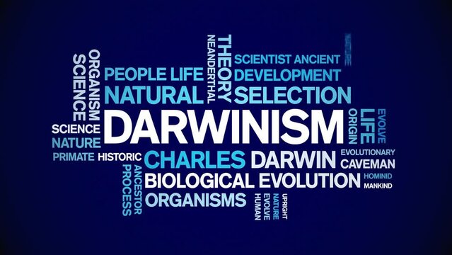 Darwinism animated tag word cloud;text design animation kinetic typography seamless loop.