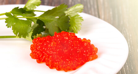 Red caviar on a white plate with herbs on the wooden table on sunlight