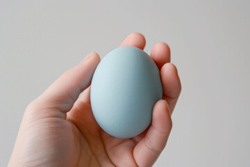 Hand holding duck blue egg isolated on gray, sustainable, food concept