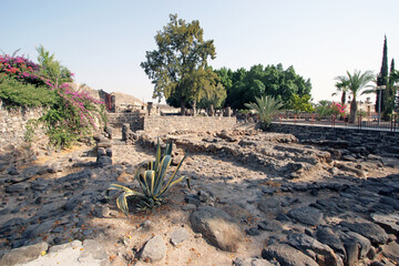 Ruins of biblical era village in Capernaum on the Sea of Galilee, Israel - 733018104