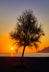 Sunset at the Beach of the Small Tourist Resort of Marine de Porto on the West Coast of Corsica, France