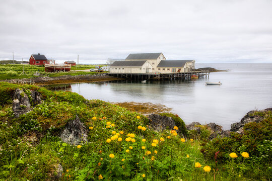 From the Fishing Village of Gamvik in the Far North of Norway