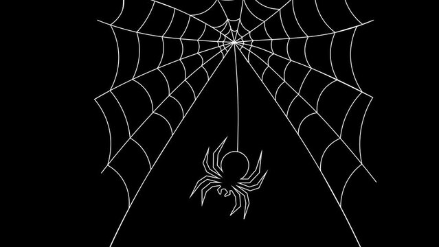 Spider web Formation time lapse Animation with Continuous Line Drawing The Spider Cobweb in black background 