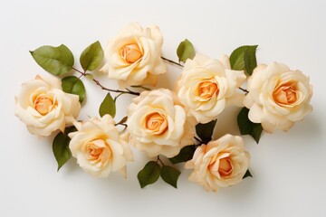 A collection of white roses with green leaves arranged in a bunch.