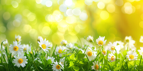Fototapeta na wymiar Spring gentle fresh natural blurred bokeh background.