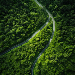 Experience the tranquility of a healthy environment captured from above, featuring a beautiful green landscape and winding road. AI generative.