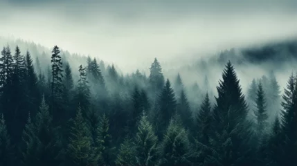 Foto op Canvas A dense fog rolling over a tranquil forest © Cloudyew