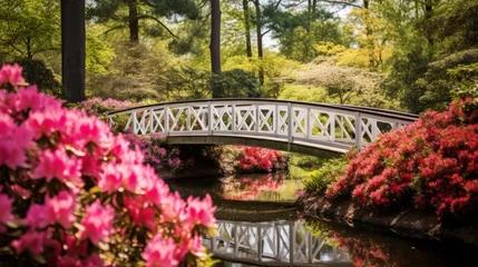 Zelfklevend Fotobehang A garden bridge framed by colorful azaleas © Cloudyew