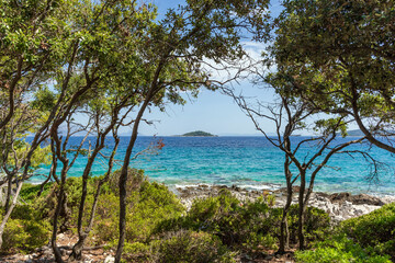 Fototapeta na wymiar Trees on rocky coast with turquoise sea on a sunny summer day on Badija island, Korcula, Croatia