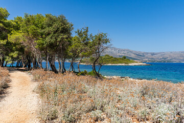 Empty trail on sea shore on idyllic Badija island near Korcula, Croatia