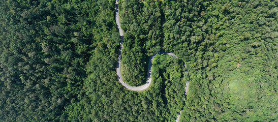 Aerial view of road in the middle of the forest in rainy day in spring, Beautiful travel road curve construction up to mountain roadway and trees, landscape with green foliage in empty asphalt road.