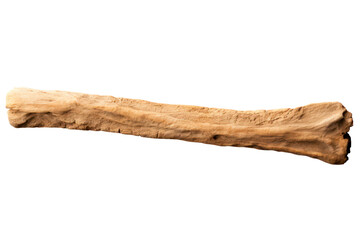 archaeological bone isolated on transparent background, png file