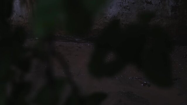 Streams of rain flow along with the mud on the wall.