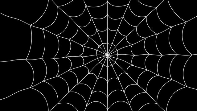 Spooky Spider Web Animation Overlay in Black Background. Wiggle Scarry Movement of Spider Cobweb. Alpha 