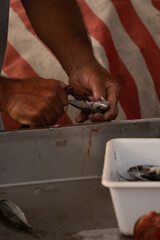 Pescatori