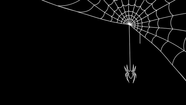 Animation of Spider Web sways Slowly in the . The Spider Cobweb up and down smooth movement  isolated in corner of black background. Alpha 