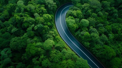 Rural road in deep rain forest with green tree forest view from above, Aerial view road in the forest on asphalt road background