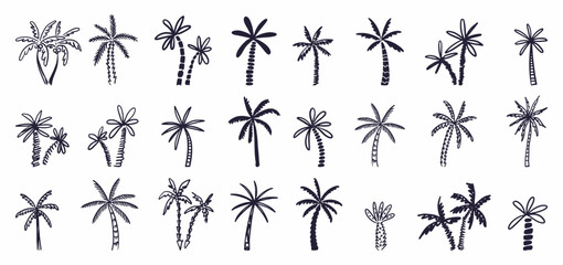Vector collection of palm trees, hand-drawn in the style of doodles - obrazy, fototapety, plakaty
