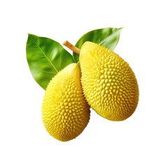 Jackfruit  PNG , transparent background