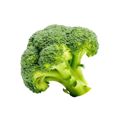 broccoli PNG , transparent background