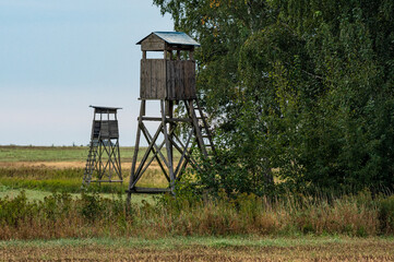 ambona myśliwska na skraju lasu