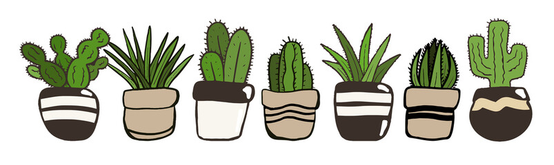 illustration détourée de plantes et cactus d'intérieur dans un style simple graphique