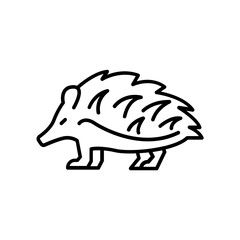 Hedgehog icon. outline icon