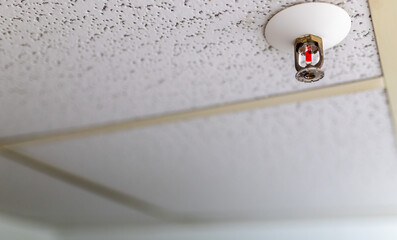 Einzelner Sprinkler an der Decke zum Schutz vor Feuer