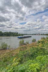 Obraz premium Cargo Ship on Rhine River in Düsseldorf-Benrath,North Rhine Westphalia,Germany