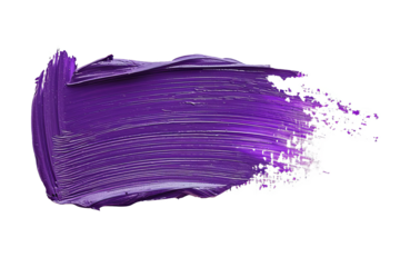 Violet oil paint brush stroke isolated on a clear background
