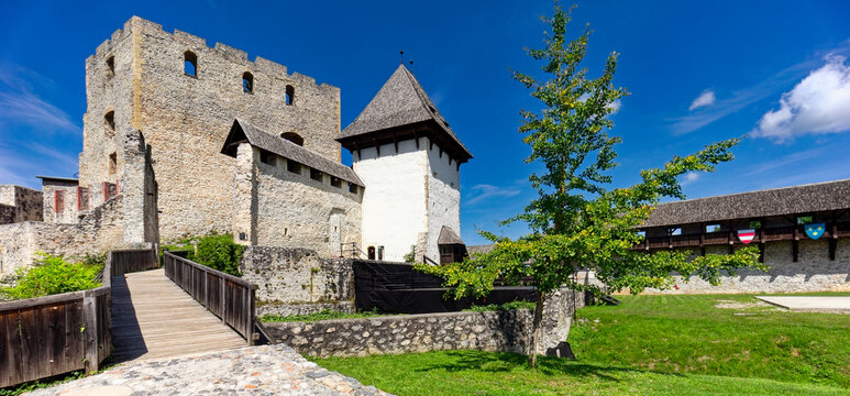 Celje castle