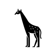 giraffe icon. solid icon