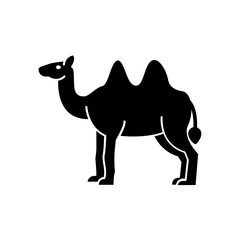 Camel icon. solid icon