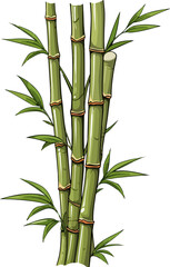 Fototapeta na wymiar Bamboo vector illustration isolated on transparent background. 