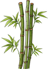 Bamboo vector illustration isolated on transparent background. 
